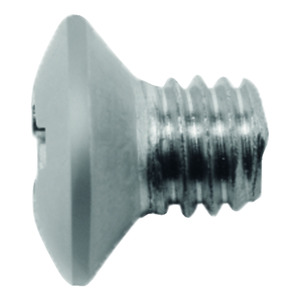 Slotted Oval Head Screw